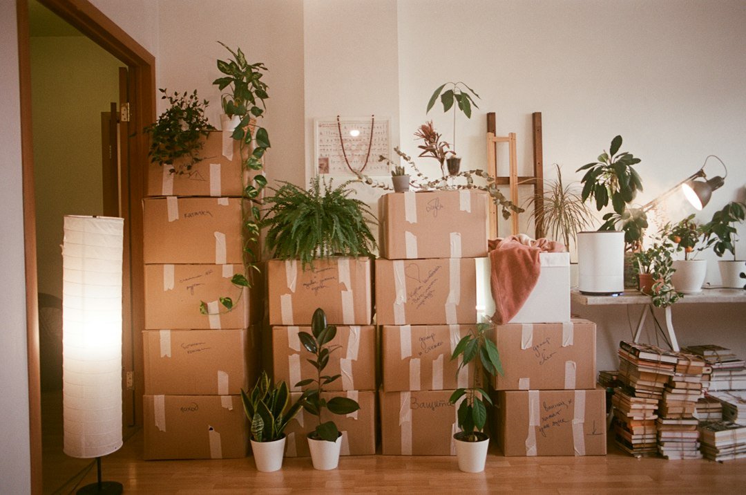 Moving boxes stacked beside houseplants and books.